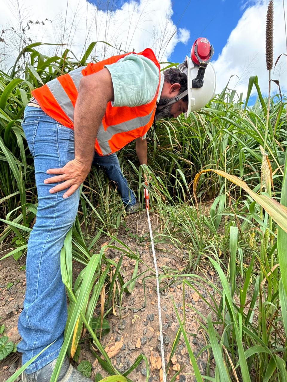 Medição de campo em área com vegetação