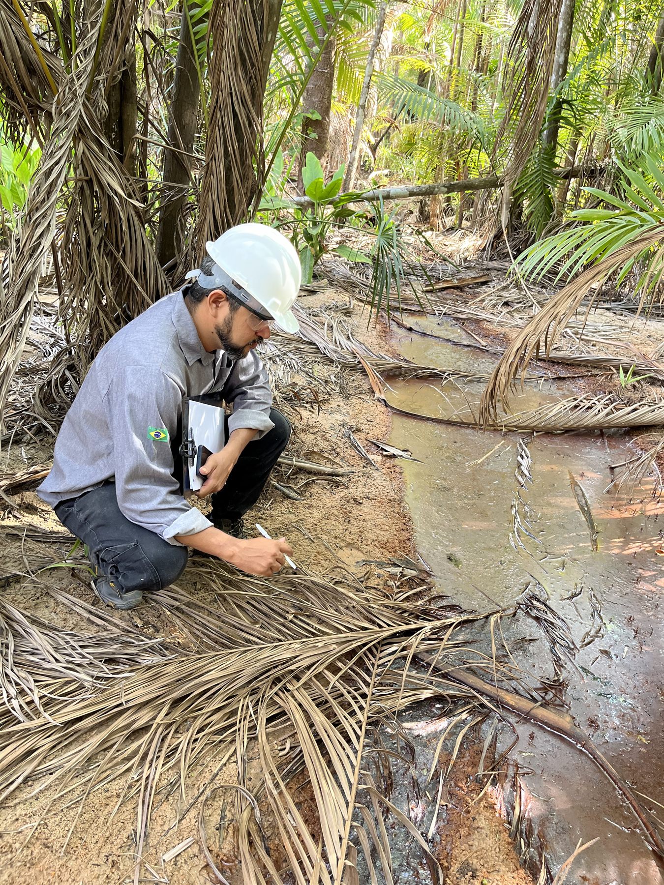 Levantamento ambiental em campo