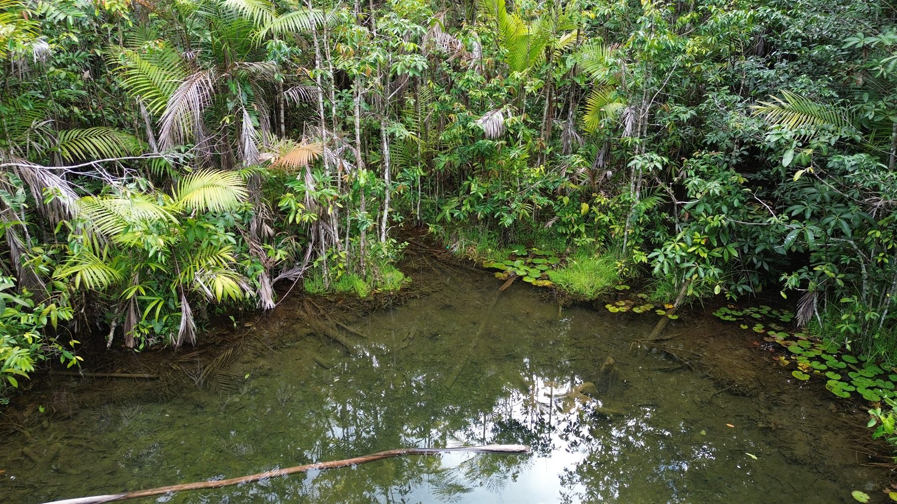 Área verde e recurso hídrico vistos por drone
